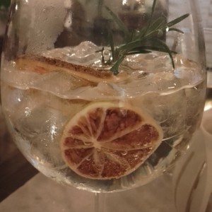 gin and tonic