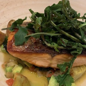 Salmon