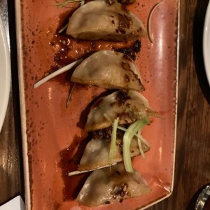 DIM SUM - Handmade Dumplings Cerdo