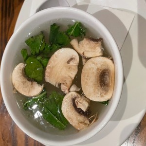 Sopa