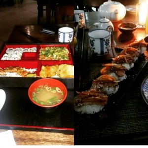 sakura bento