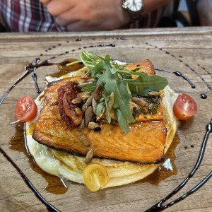 Salmon