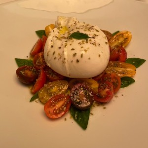 Burrata