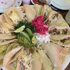 Taquisa 