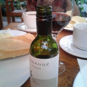 vino Merlot