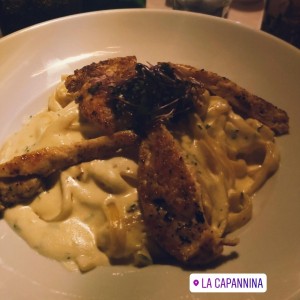 Alfredo con Pollo