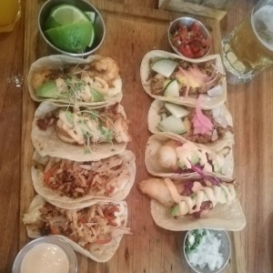tacon frida