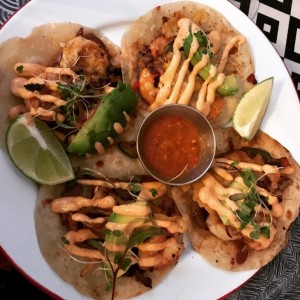 tacos gobernador