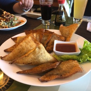 wantan 