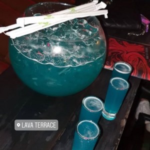 Fish Bowls