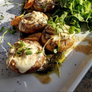 hongos