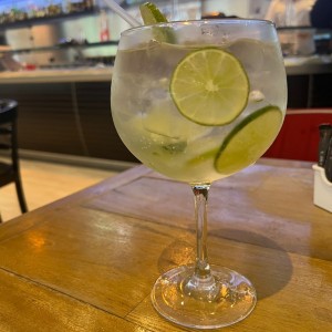 Gin and Tonic Tanqueray