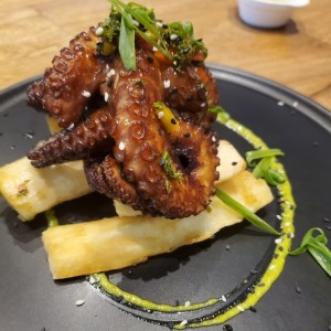 Pulpo