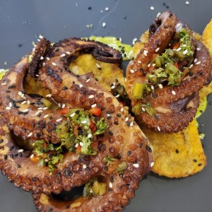 Pulpo al Grill
