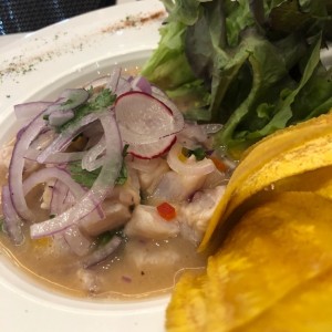 ceviche de corvina