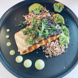 Salmon