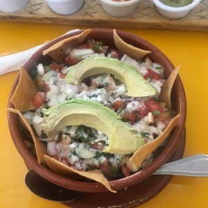 Tortuga de pollo