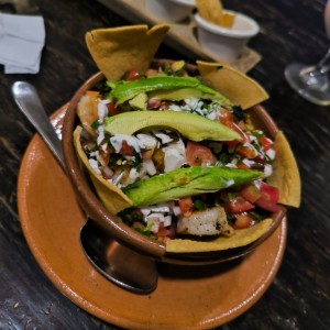 Platos - Tortuga