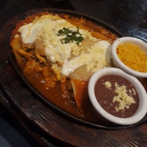 enchilada de pollo (con arroz y frijoles)