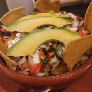 Platos - Tortuga