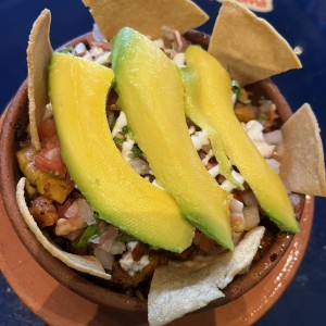 Platos - Tortuga