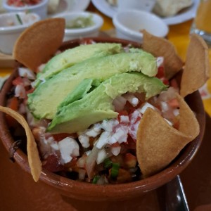 tortuga