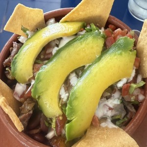 Platos - Tortuga