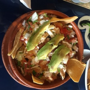 Tortuga de pollo