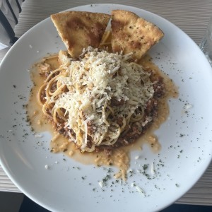Bologna