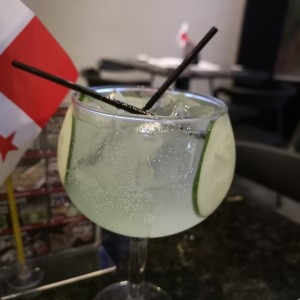 Tonic de la casa