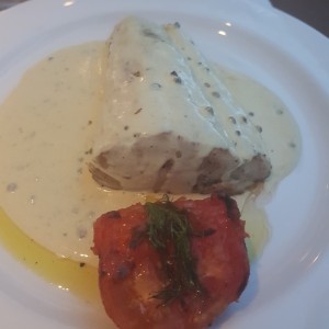 Salmon