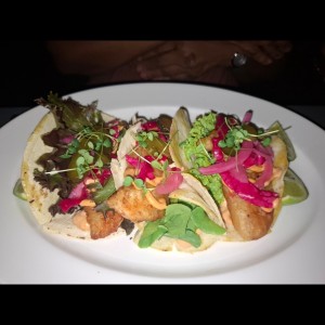 TACOS DE CORVINA TEMPURA
