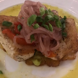 Corvina ATH