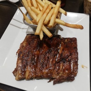 RIBS
