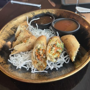 Dim Sum - Spring Rolls