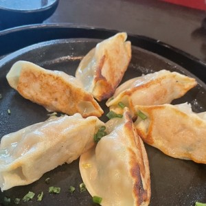 Dim Sum - Handmade Dumplings
