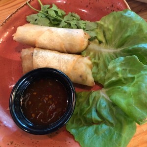 rollos vegetarianos