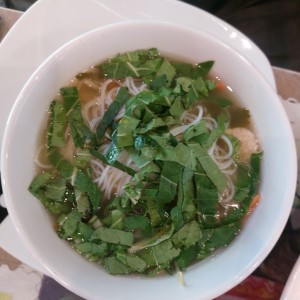 sopa