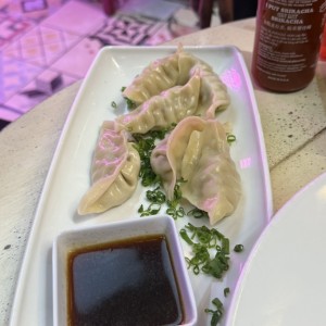 Tentadoras Entradas - Gyozas Mixtas