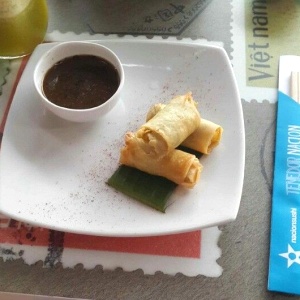 Spring roll de vegetales