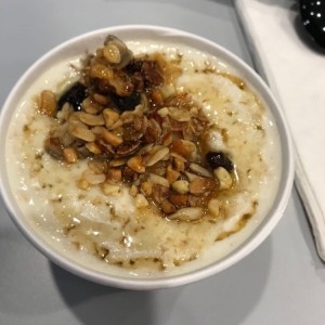 Avena