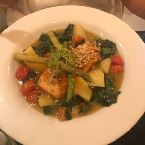 salmon