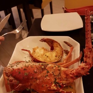 Langosta Vespa