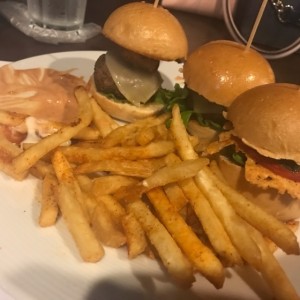 tres hamburguesas diferentes por 15$