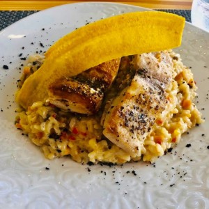 Risotto de vegetales con pescado