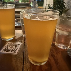Cerveza artesanal 