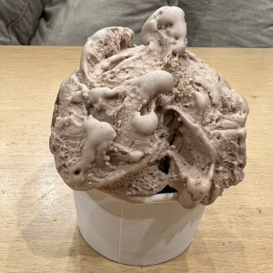 Helado
