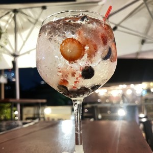 GIN DE FRUTOS ROJOS 