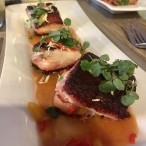 Principales - Pork belly