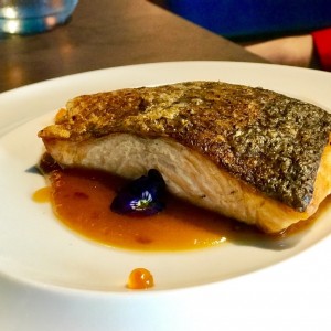 Salmon Unilateral